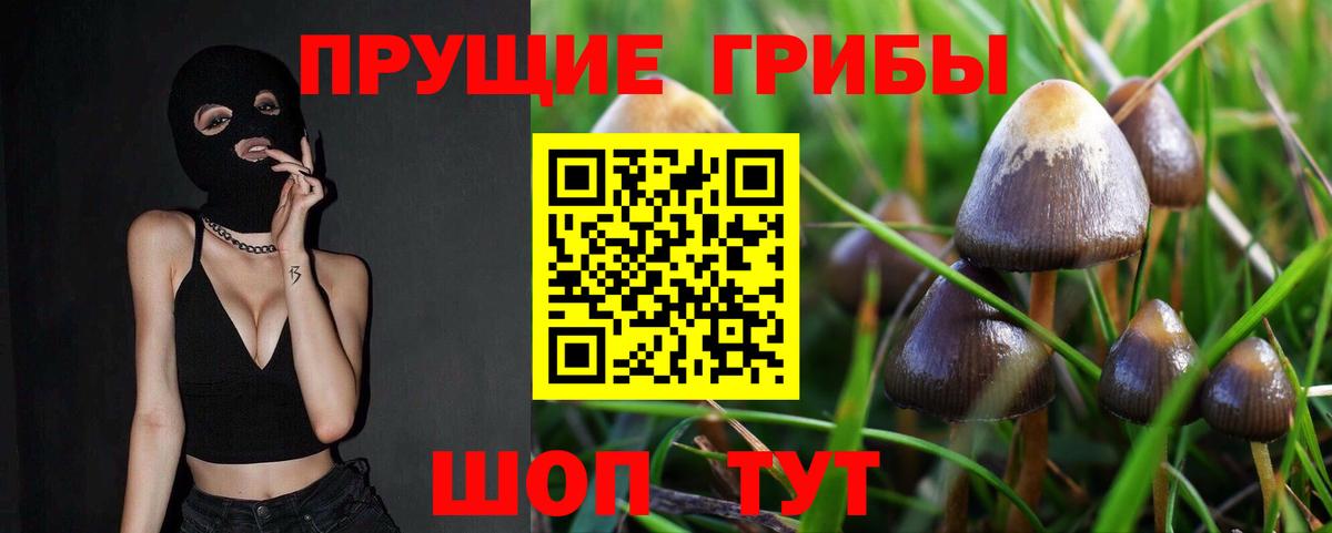 Камышлов  Галлюциногенные грибы GOLDEN TEACHER  Вход с VPN 
